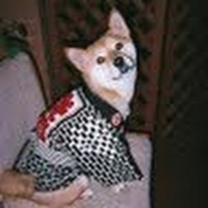 Meet your Posher, Heidi